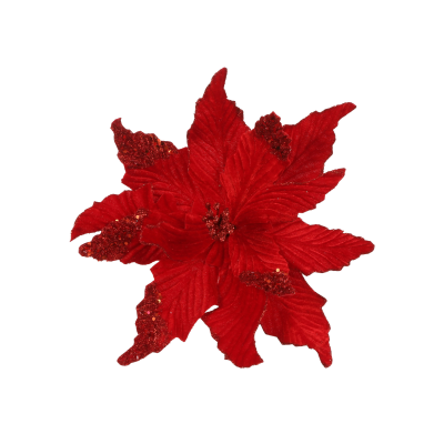 Rose de Noël à clip