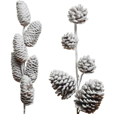 Tige de pomme de pin enneigée