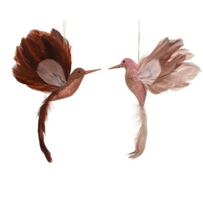 Colibris à paillettes 