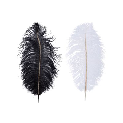 Plume à paillettes 